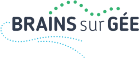 Logo de Brains-sur-Gée