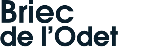 Logo de Briec