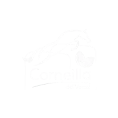 Logo de Corneilla-del-Vercol