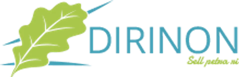 Logo de Dirinon