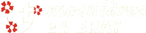 Logo de Mesnières-en-Bray