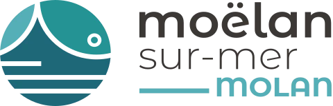 Logo de Moëlan-sur-Mer