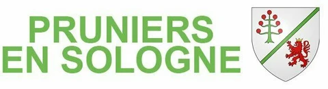 Logo de Pruniers-en-Sologne
